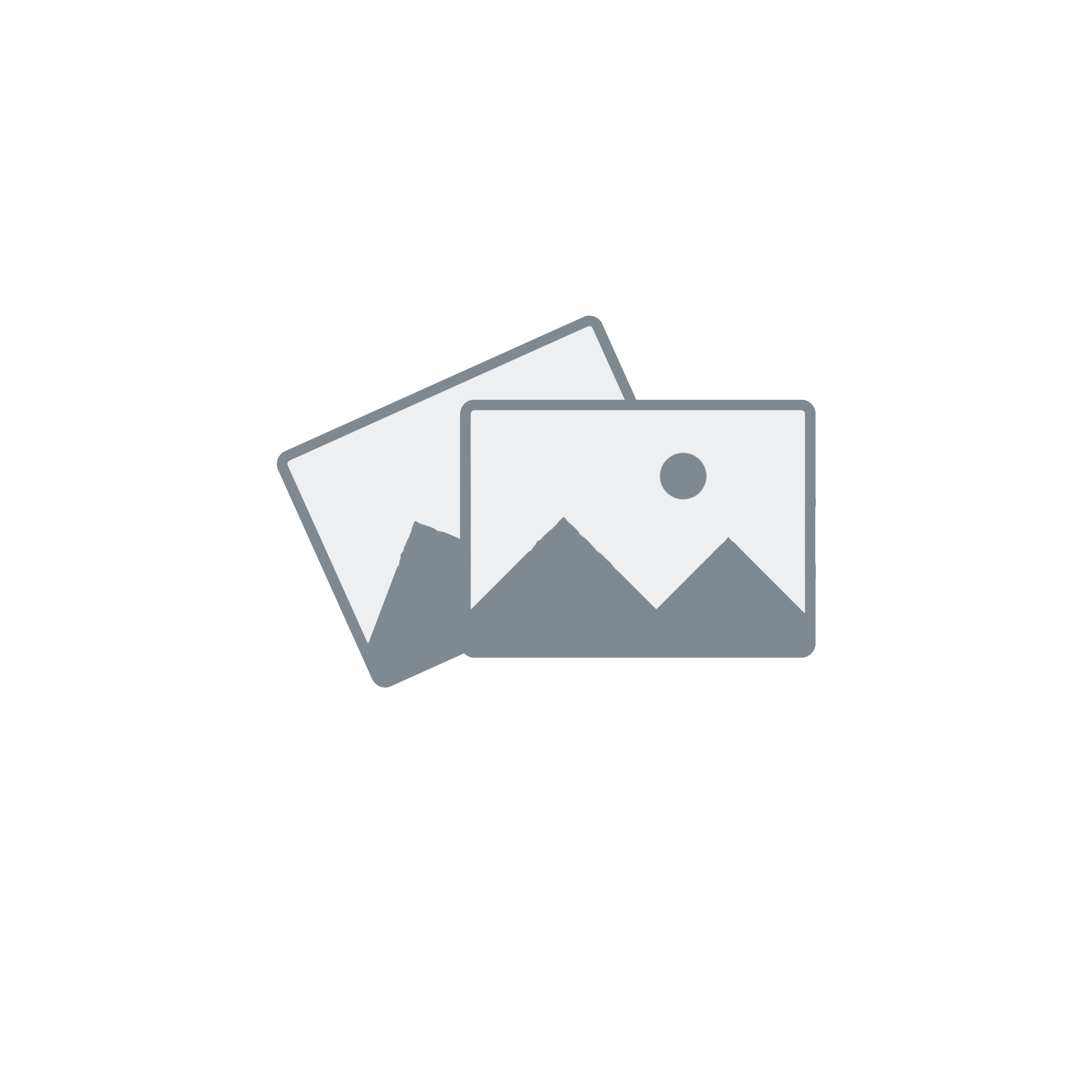  Ventilateur sur pied 40cm avec telecommande